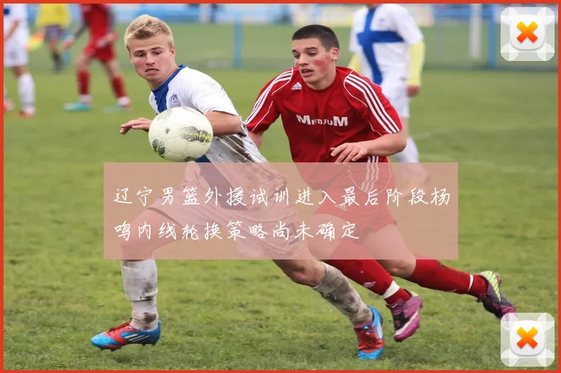 辽宁男篮外援试训进入最后阶段杨鸣内线轮换策略尚未确定